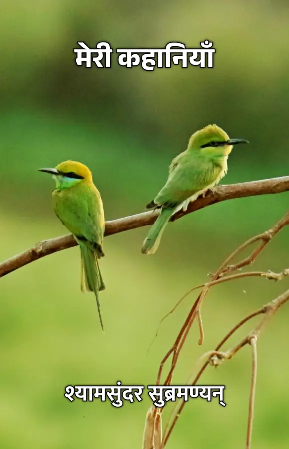 Meri Kahaniyaan / मेरी कहानियाँ