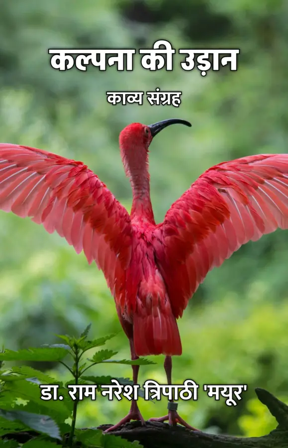 Kalpana Ki Udaan : Kavya Sangrah / कल्पना की उड़ान : काव्य संग्रह