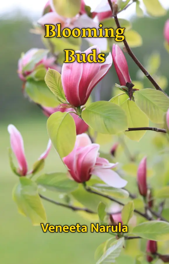 Blooming Buds