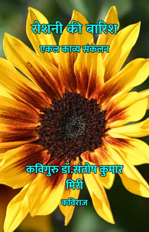 Roshni Ki Barish : Ekal Kavya Sankalan / रोशनी की बारिश : एकल काव्य संकलन